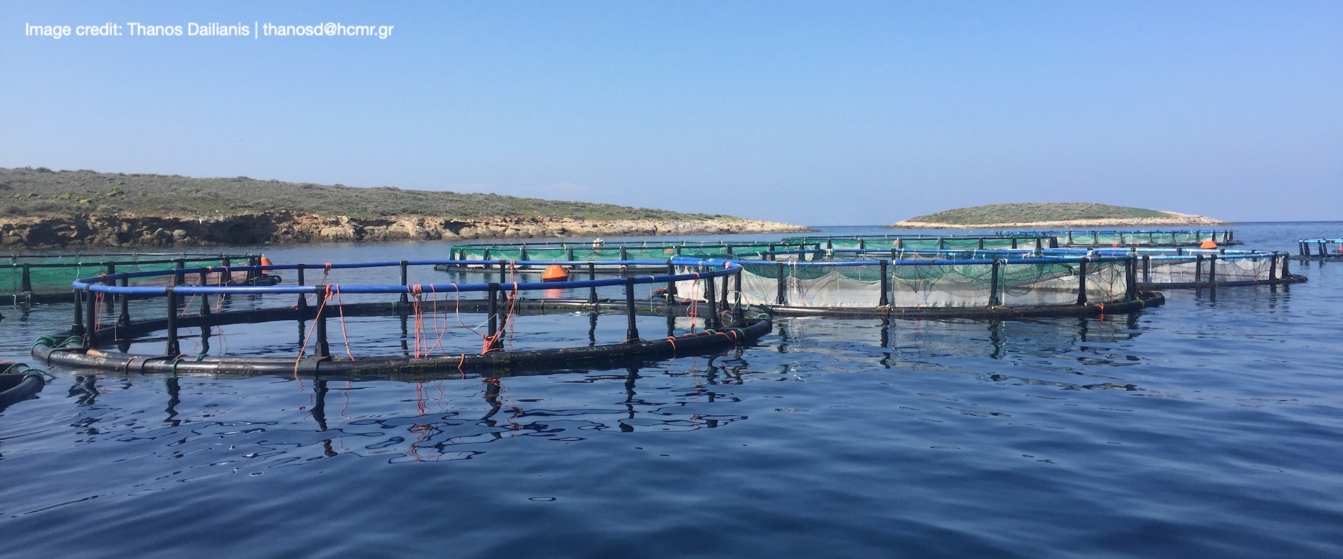 Fish farming in Greece is an expanding and highly profitable sector with an annual revenue of €621 million.